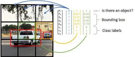 YOLO splits the image into a grid and predicts bounding boxes and class labels